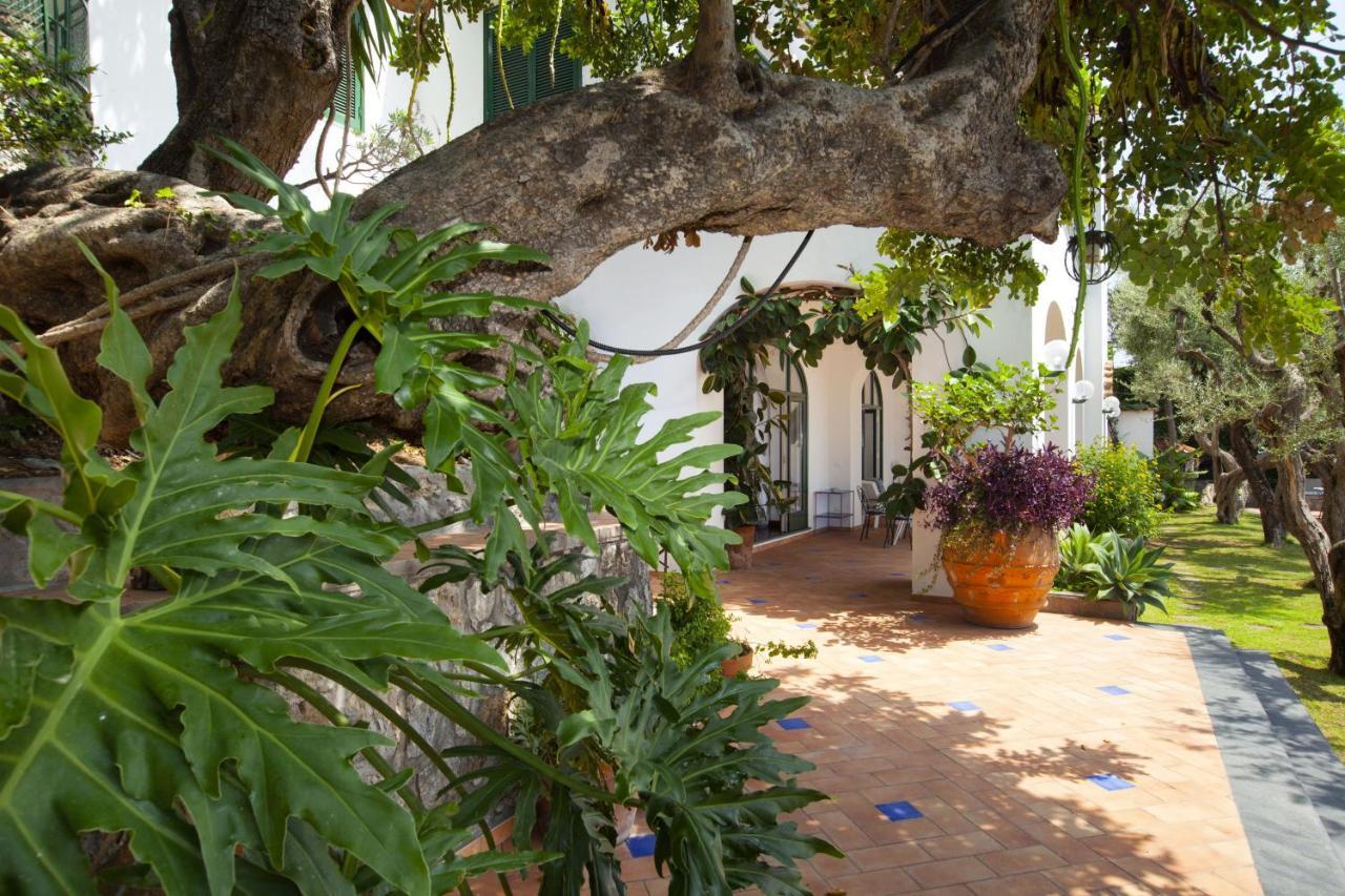 Amore Rentals - Villa Lo Scoglio Positano Exterior foto